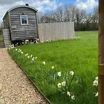 Jasmine Hut